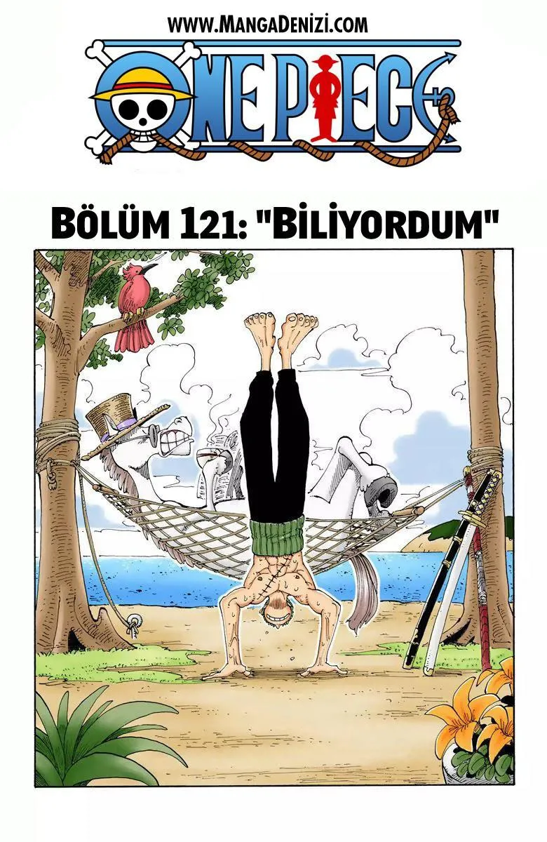 One Piece [Renkli] - Sayfa 2