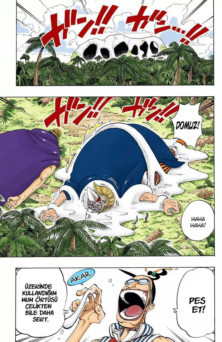 One Piece [Renkli] - Sayfa 8