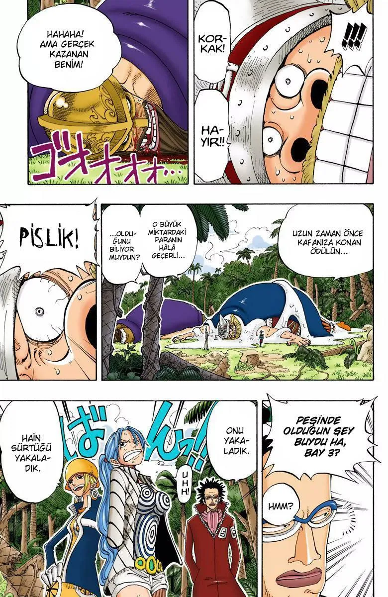 One Piece [Renkli] - Sayfa 10