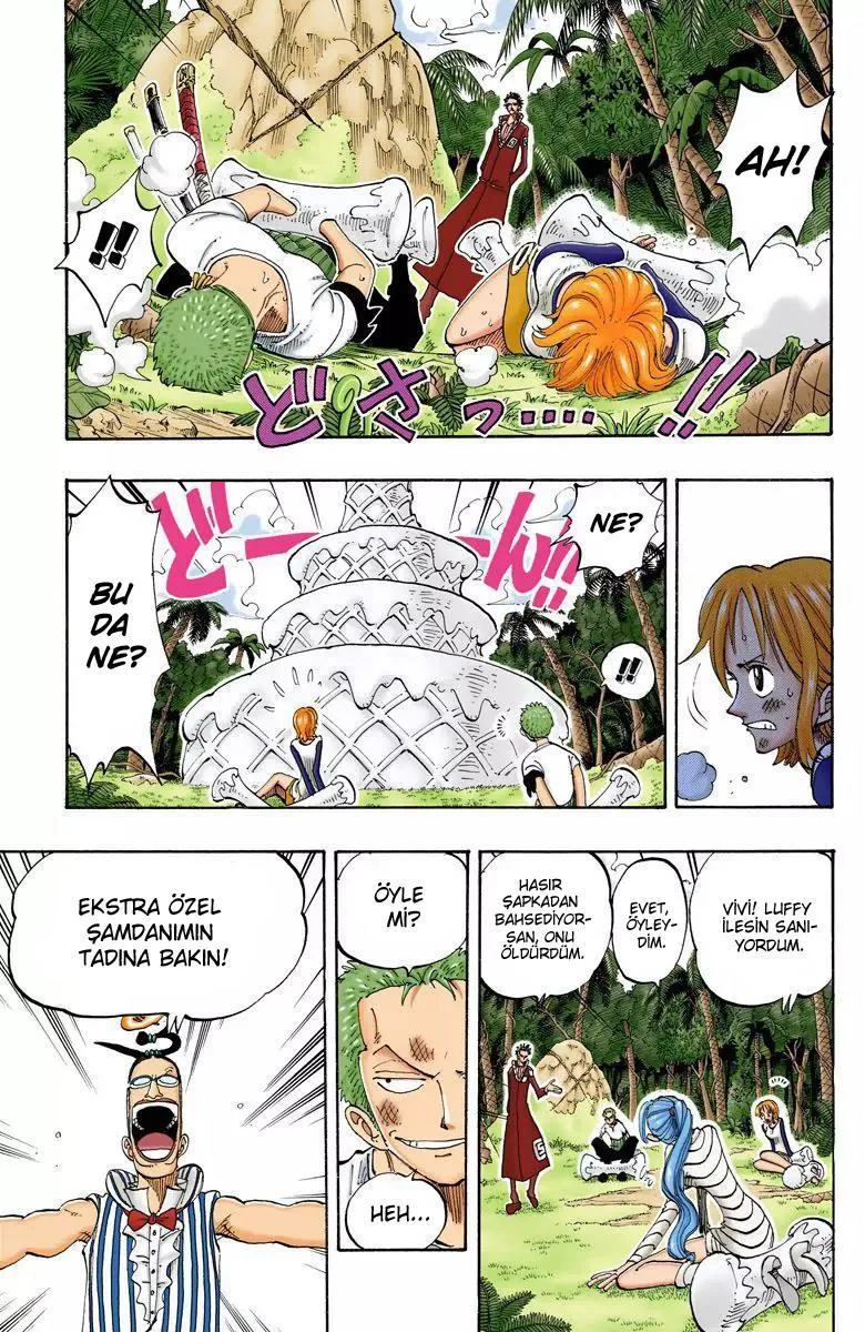 One Piece [Renkli] - Sayfa 14