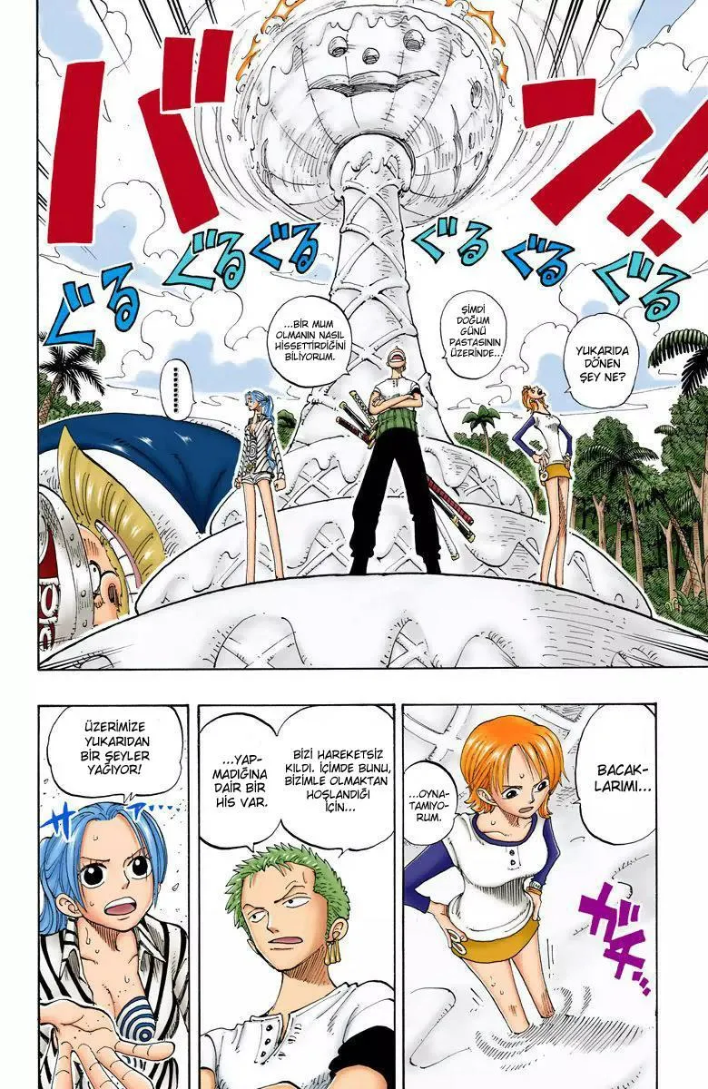 One Piece [Renkli] - Sayfa 15