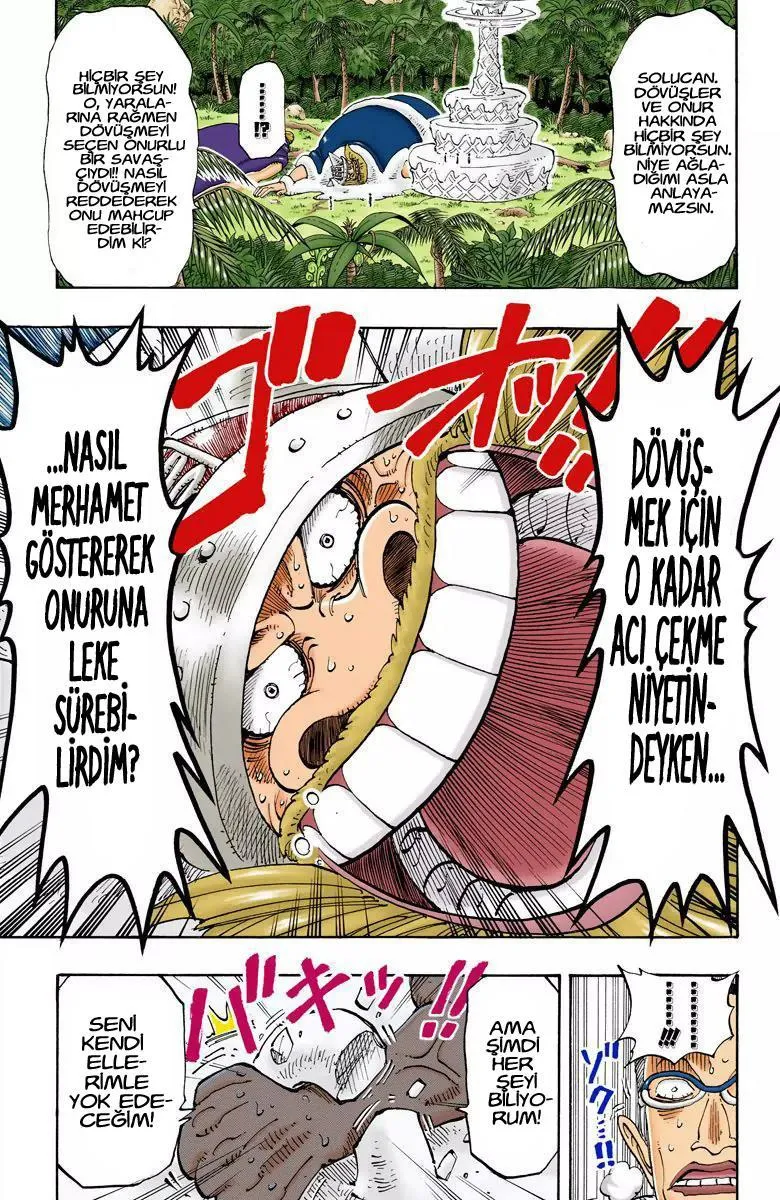 One Piece [Renkli] - Sayfa 18