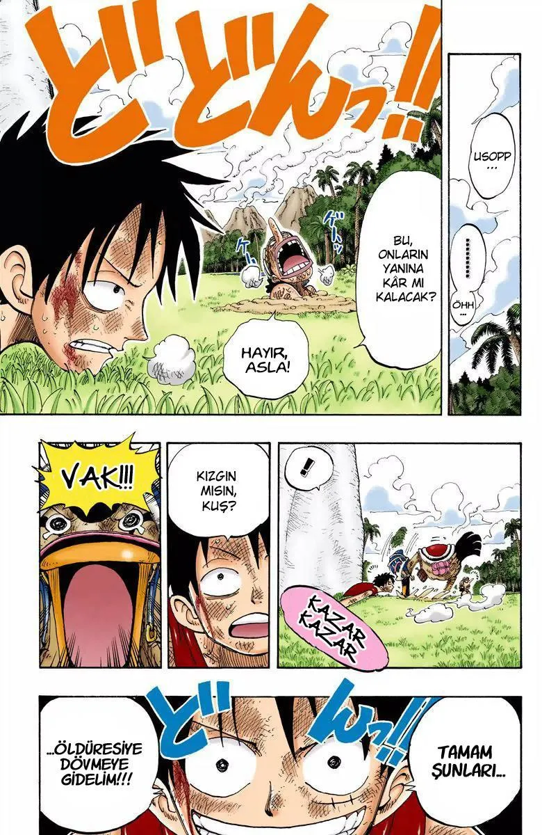 One Piece [Renkli] - Sayfa 20