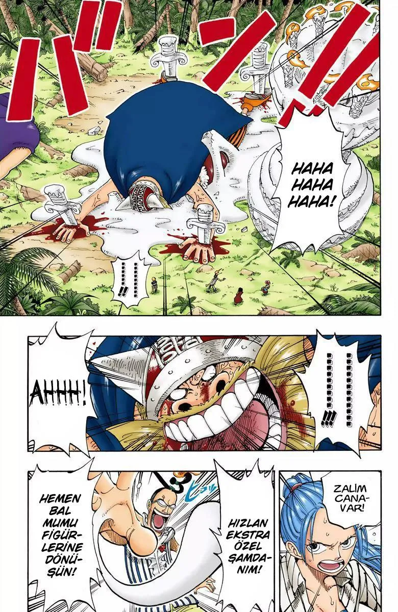 One Piece [Renkli] - Sayfa 6