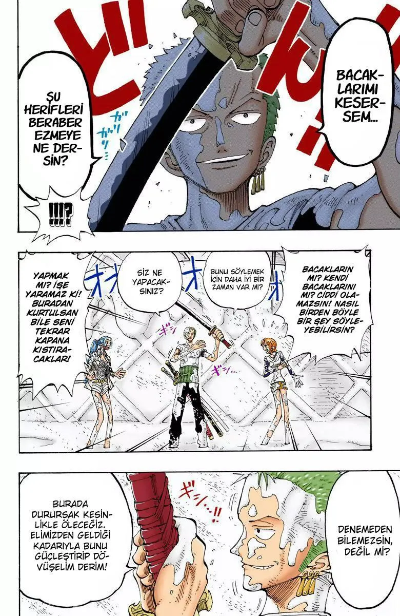 One Piece [Renkli] - Sayfa 11