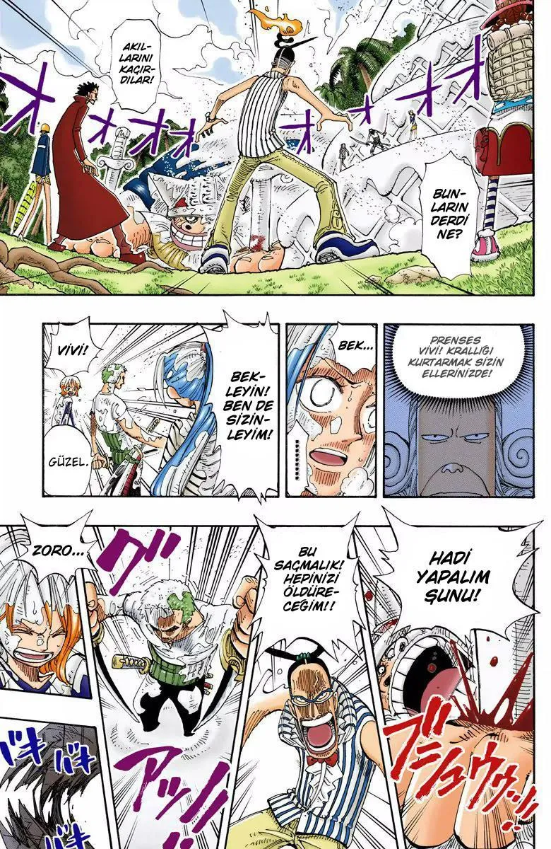 One Piece [Renkli] - Sayfa 14