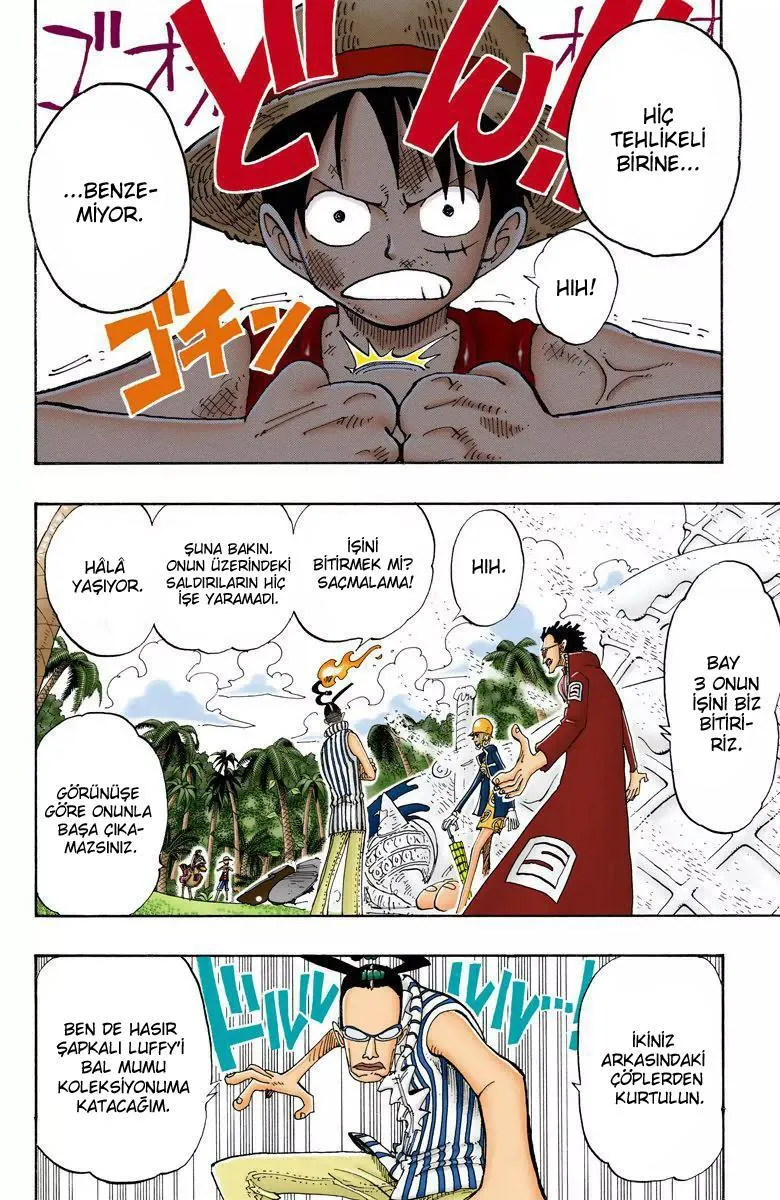 One Piece [Renkli] - Sayfa 5