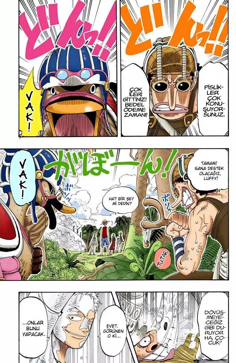 One Piece [Renkli] - Sayfa 6