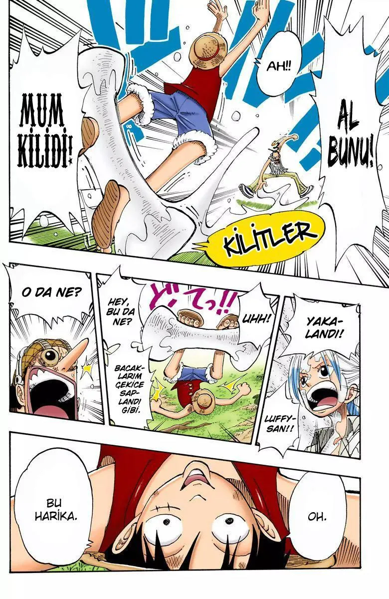 One Piece [Renkli] - Sayfa 7