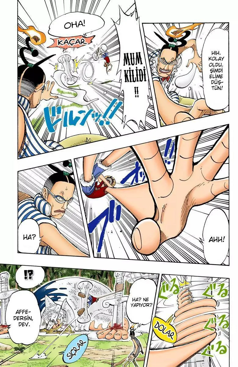 One Piece [Renkli] - Sayfa 8