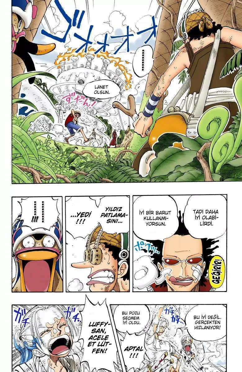 One Piece [Renkli] - Sayfa 15