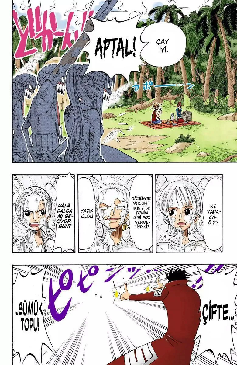 One Piece [Renkli] - Sayfa 13