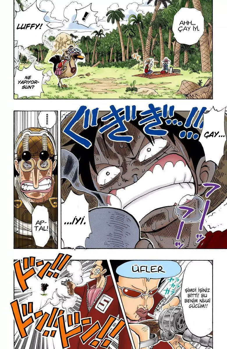 One Piece [Renkli] - Sayfa 17