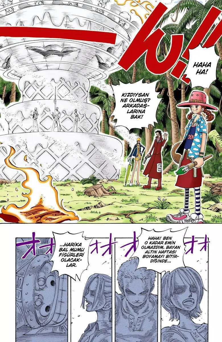 One Piece [Renkli] - Sayfa 5