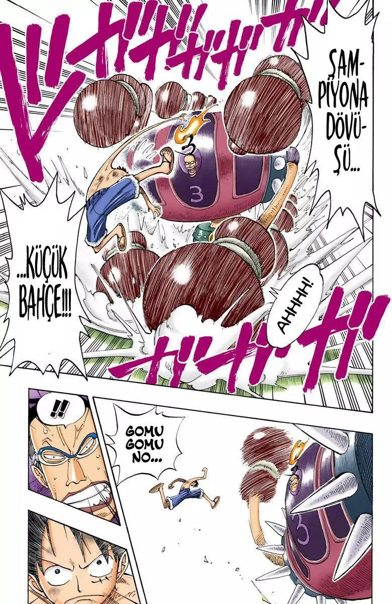 One Piece [Renkli] - Sayfa 10