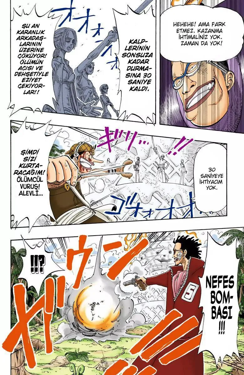 One Piece [Renkli] - Sayfa 13