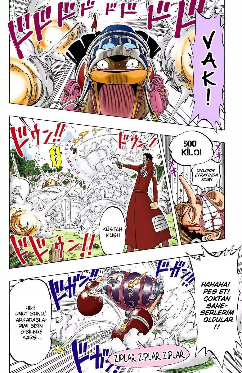 One Piece [Renkli] - Sayfa 17