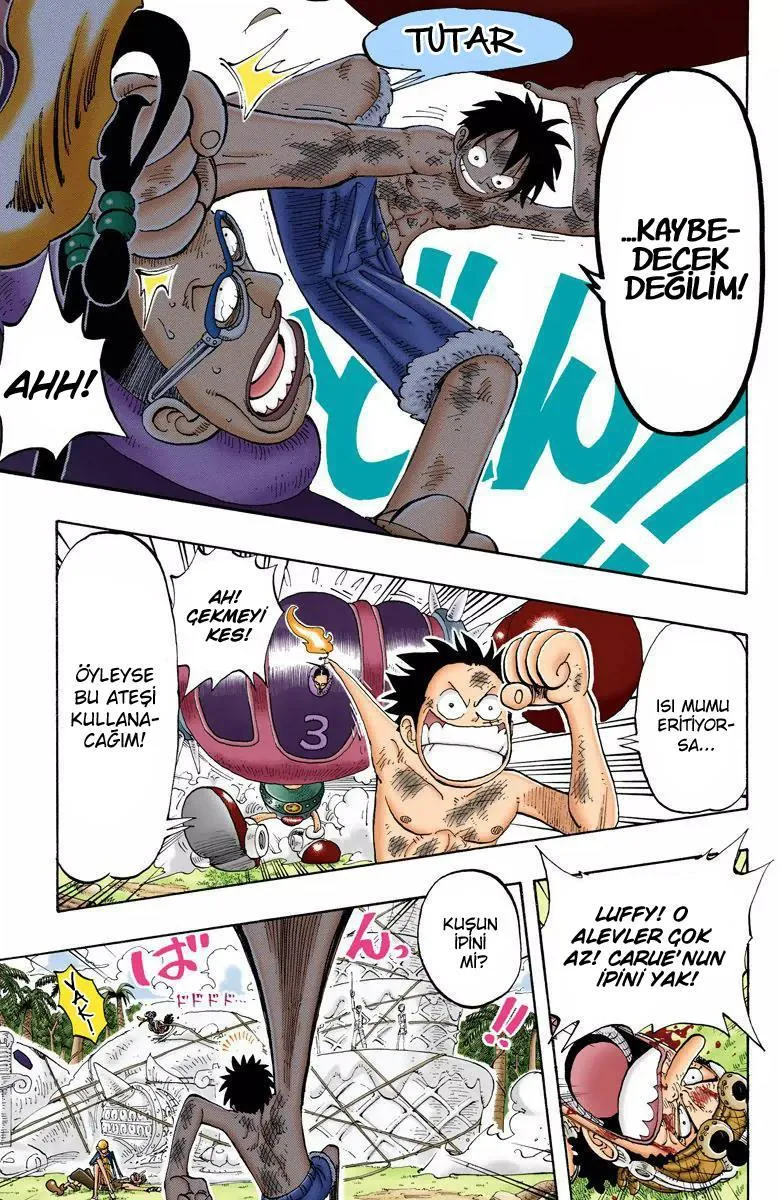 One Piece [Renkli] - Sayfa 18