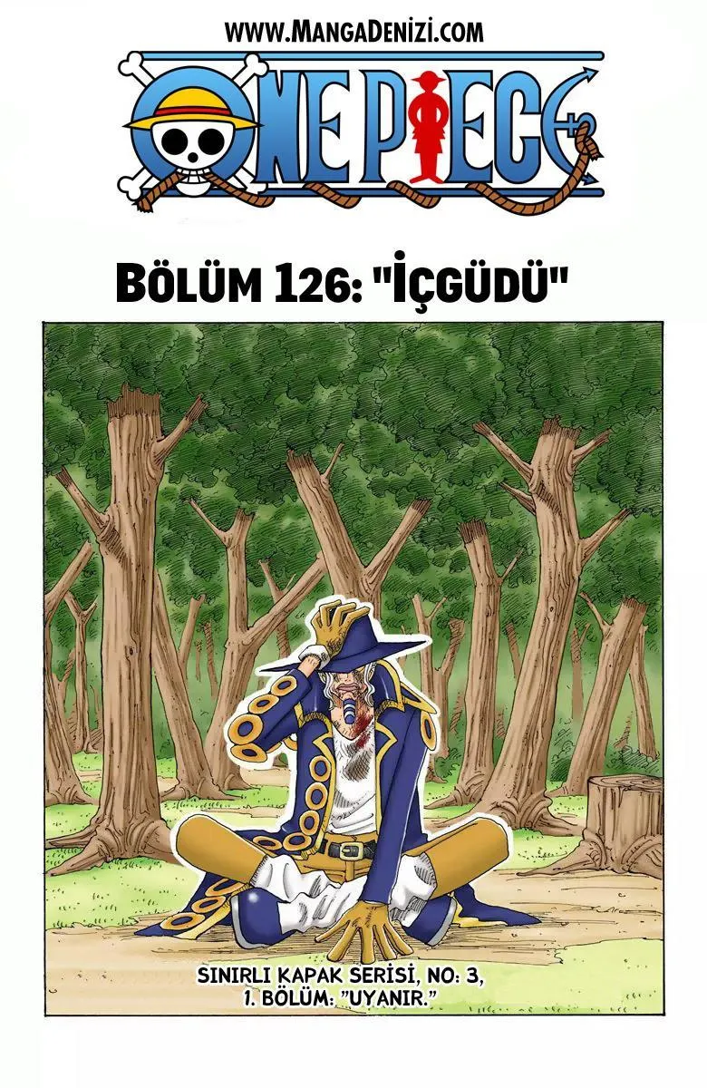 One Piece [Renkli] - Sayfa 2