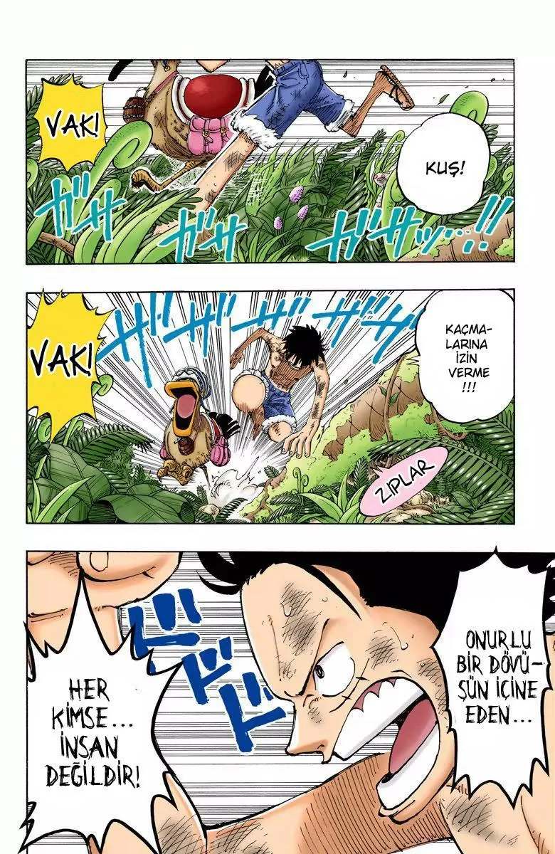 One Piece [Renkli] - Sayfa 13