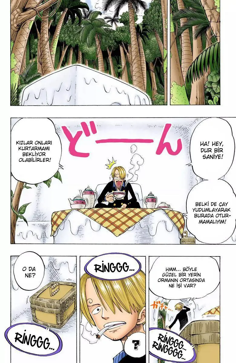 One Piece [Renkli] - Sayfa 19