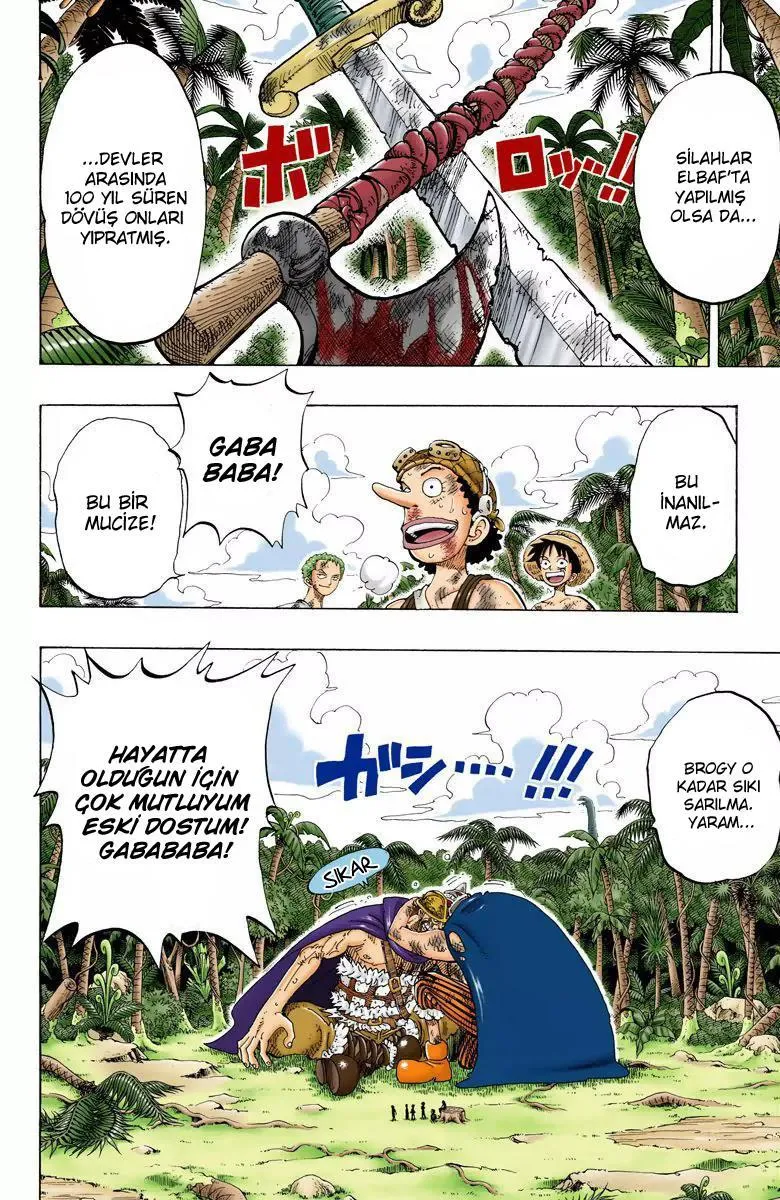 One Piece [Renkli] - Sayfa 6