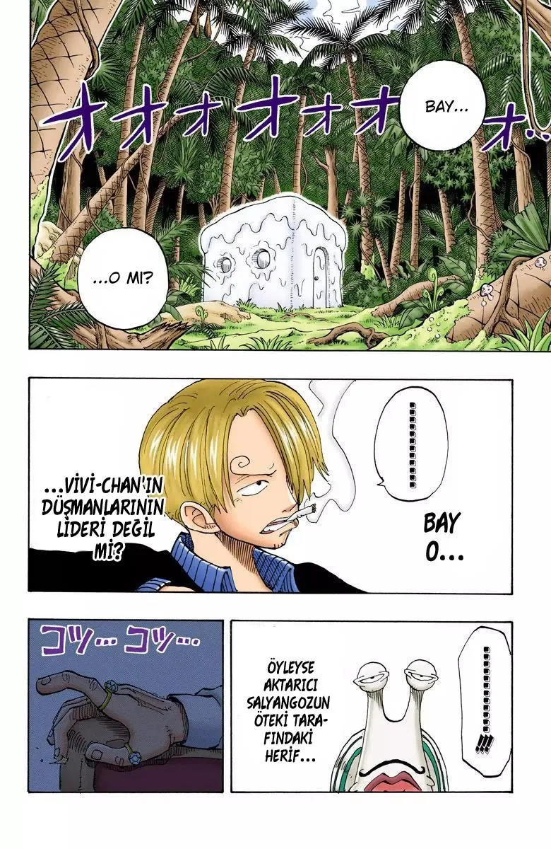 One Piece [Renkli] - Sayfa 8