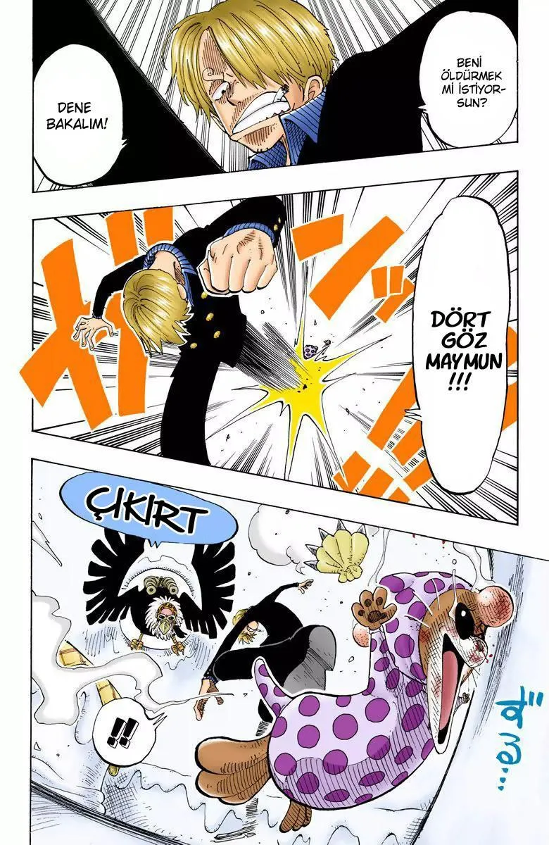 One Piece [Renkli] - Sayfa 14