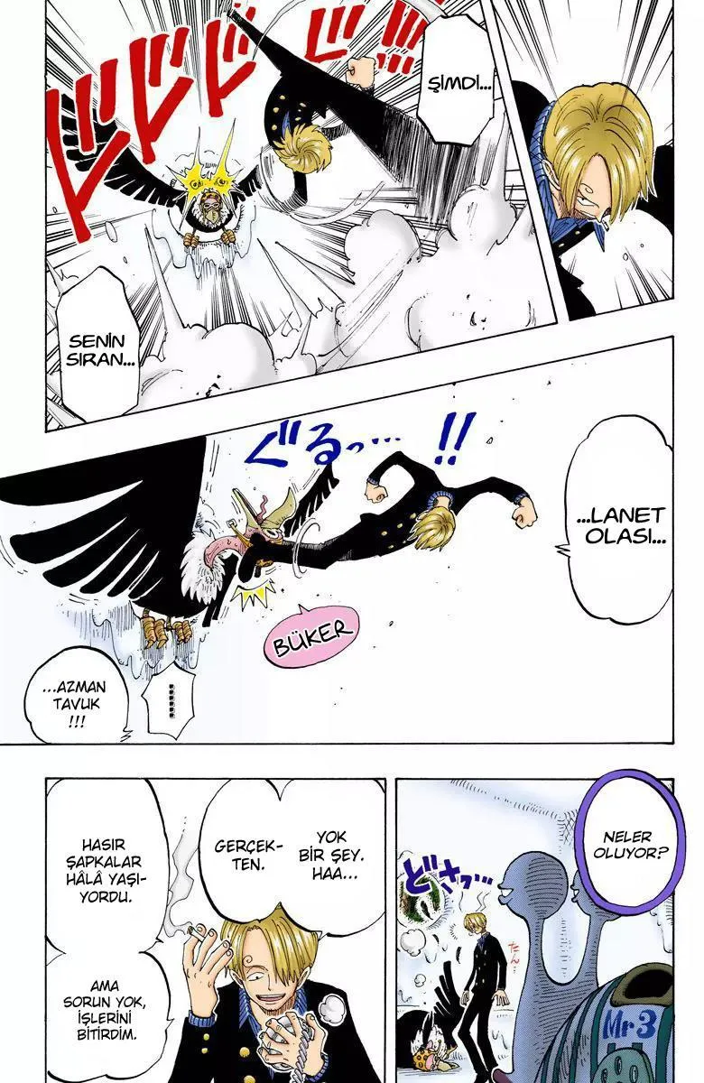 One Piece [Renkli] - Sayfa 15