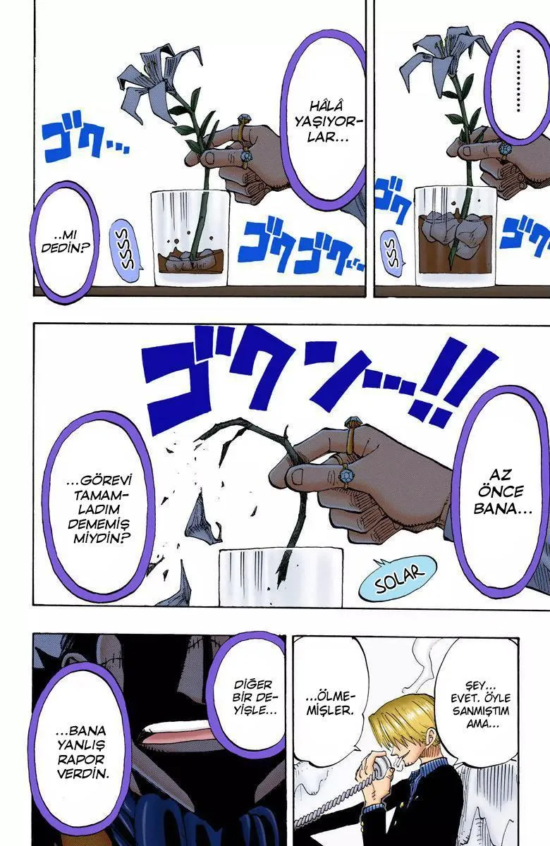 One Piece [Renkli] - Sayfa 16