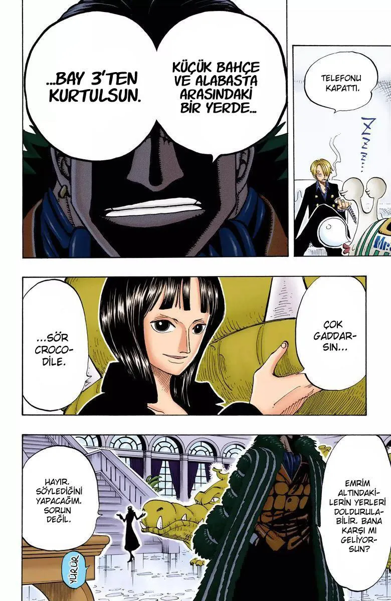 One Piece [Renkli] - Sayfa 18