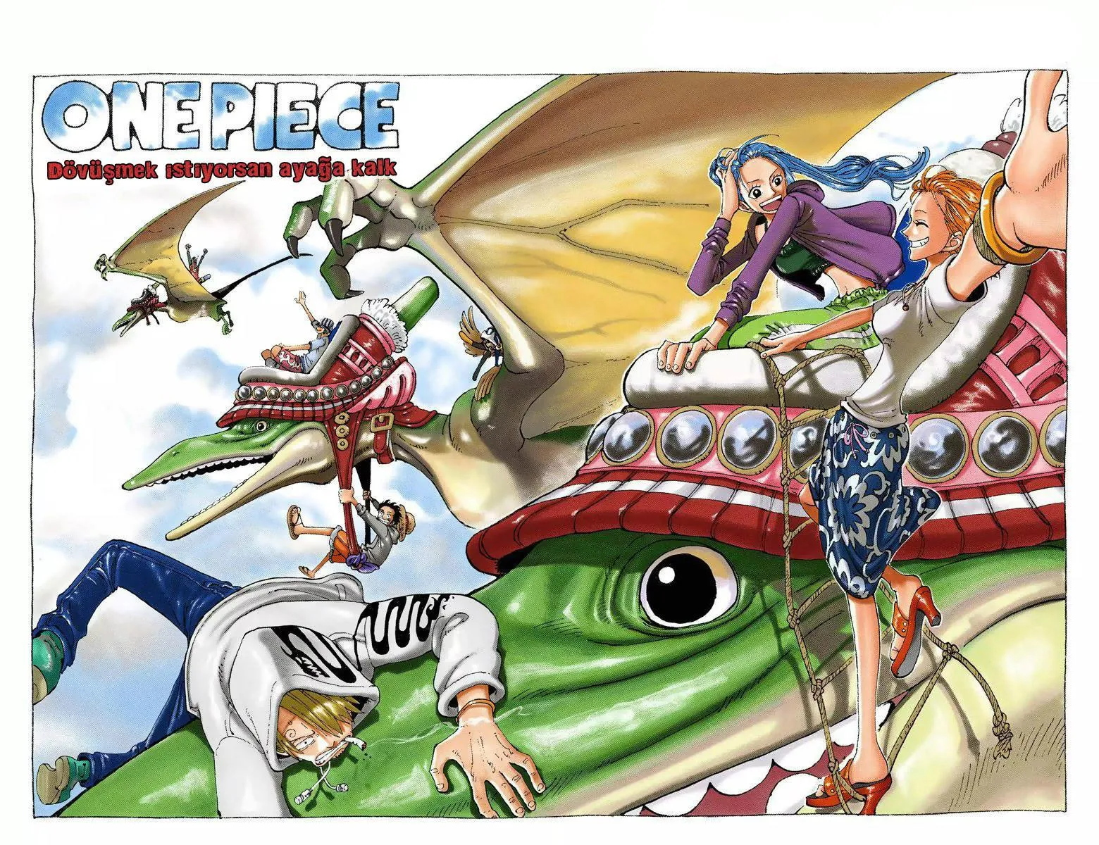 One Piece [Renkli] - Sayfa 3