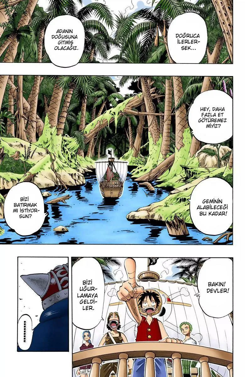 One Piece [Renkli] - Sayfa 16