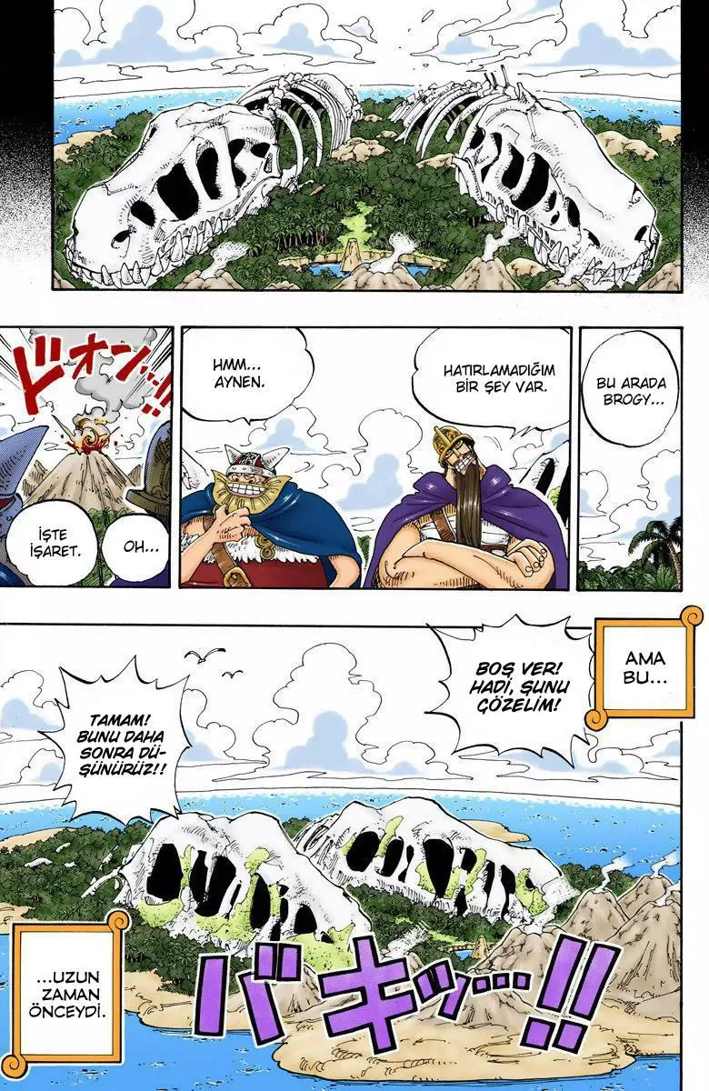 One Piece [Renkli] - Sayfa 14