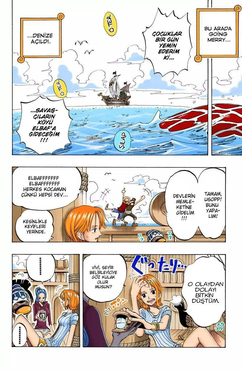One Piece [Renkli] - Sayfa 15