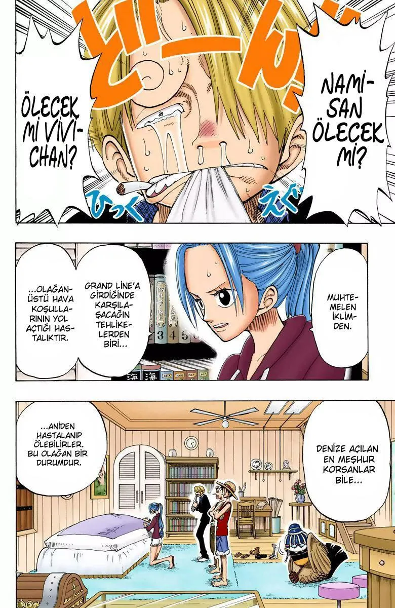 One Piece [Renkli] - Sayfa 3