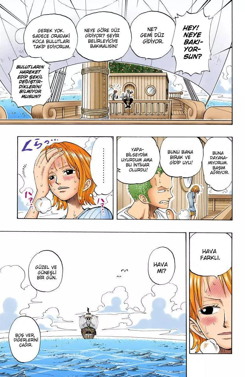 One Piece [Renkli] - Sayfa 12