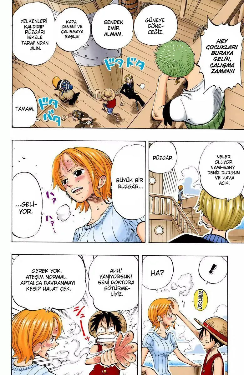 One Piece [Renkli] - Sayfa 13