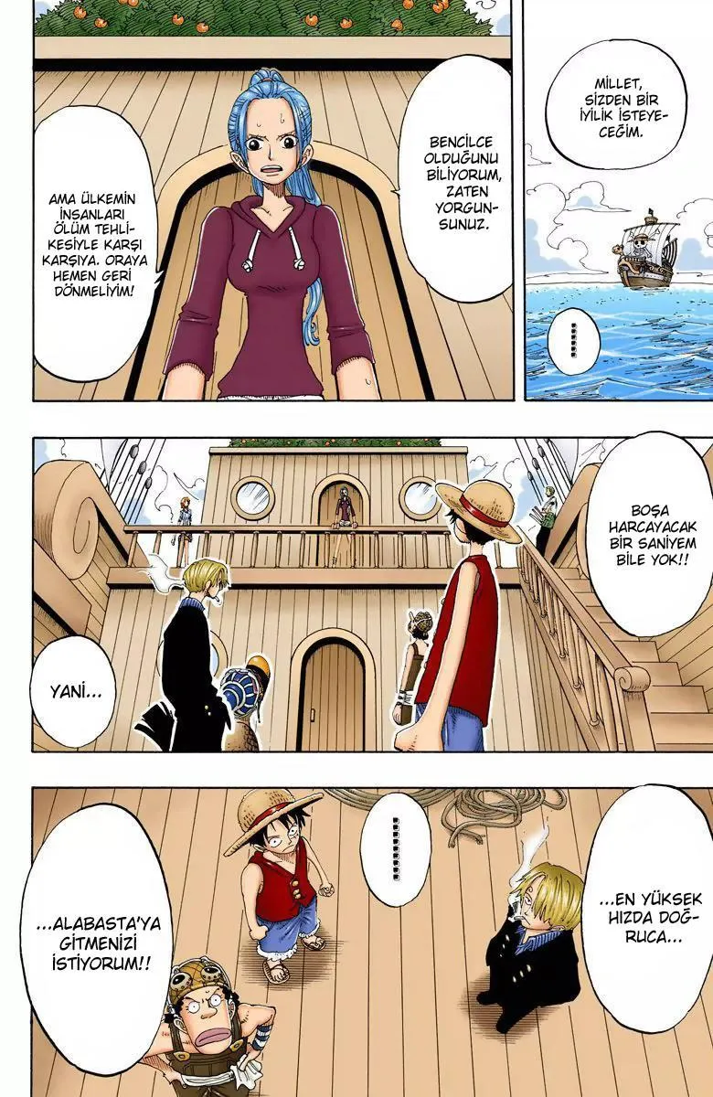 One Piece [Renkli] - Sayfa 15
