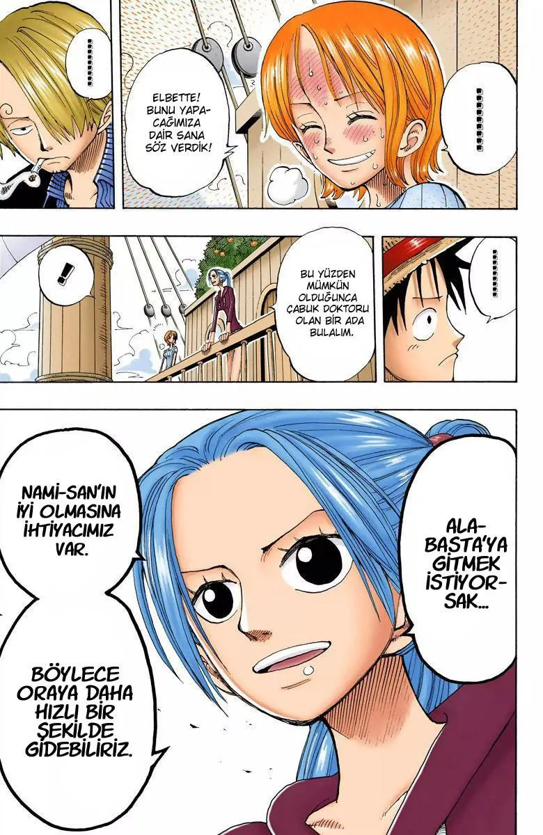 One Piece [Renkli] - Sayfa 16