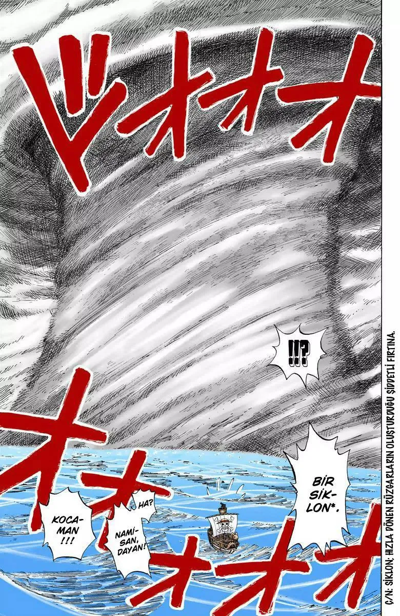 One Piece [Renkli] - Sayfa 18