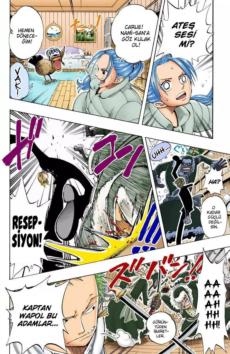 One Piece [Renkli] - Sayfa 17