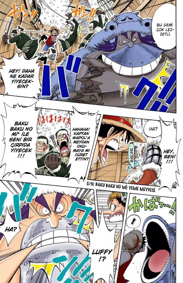 One Piece [Renkli] - Sayfa 18