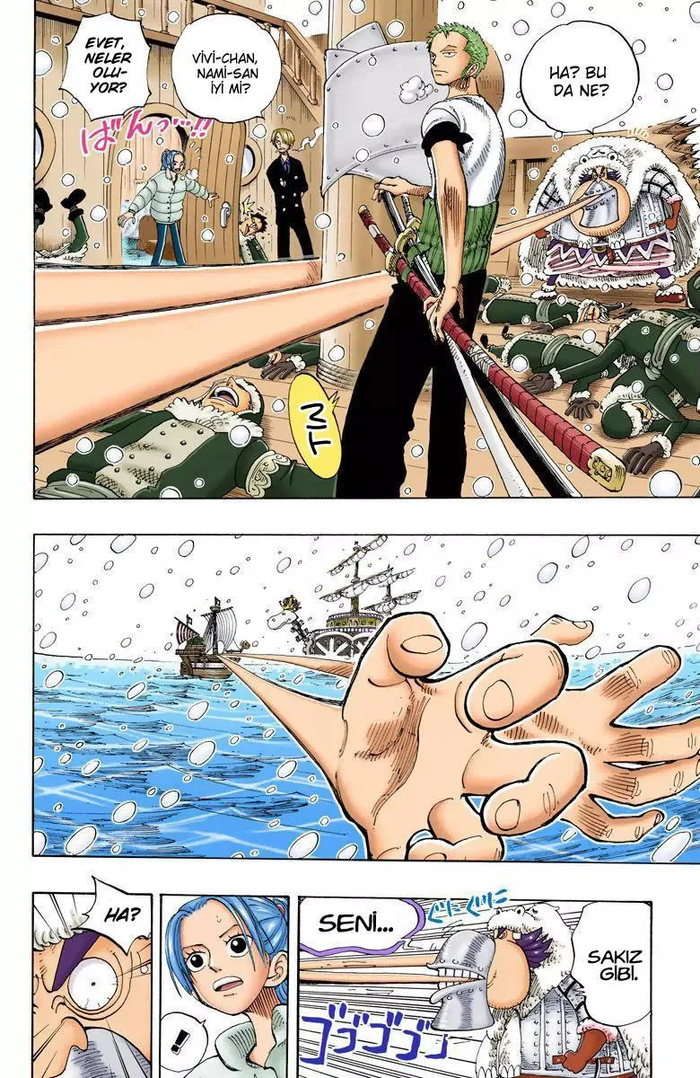 One Piece [Renkli] - Sayfa 19