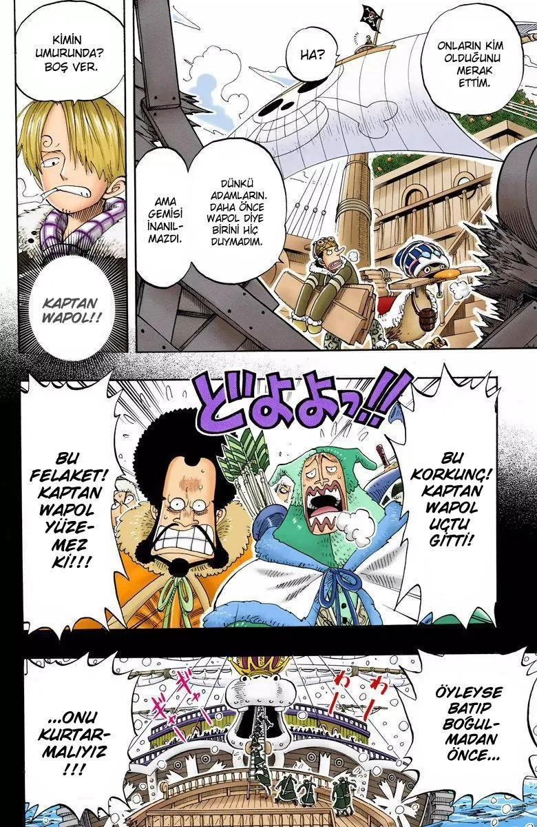 One Piece [Renkli] - Sayfa 5