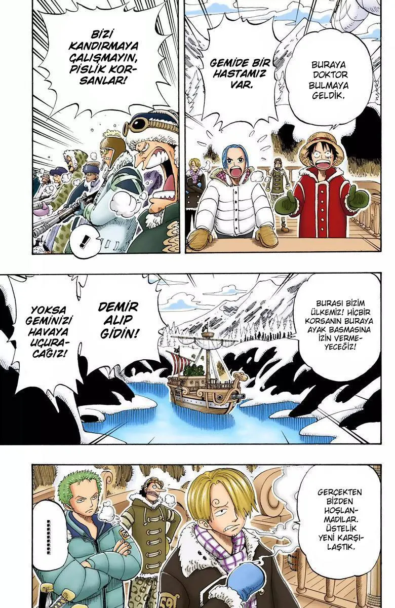 One Piece [Renkli] - Sayfa 14
