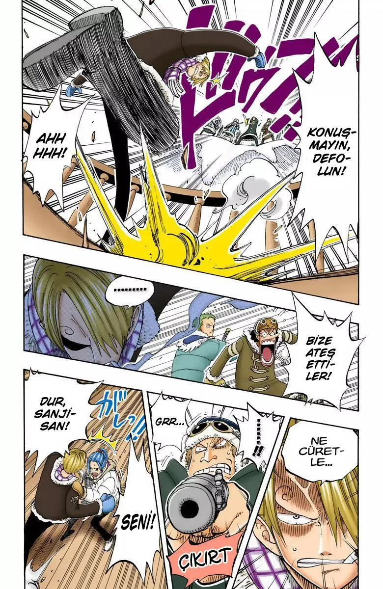 One Piece [Renkli] - Sayfa 15