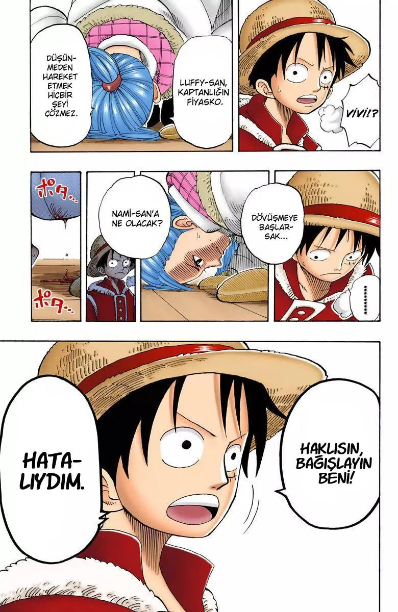 One Piece [Renkli] - Sayfa 18