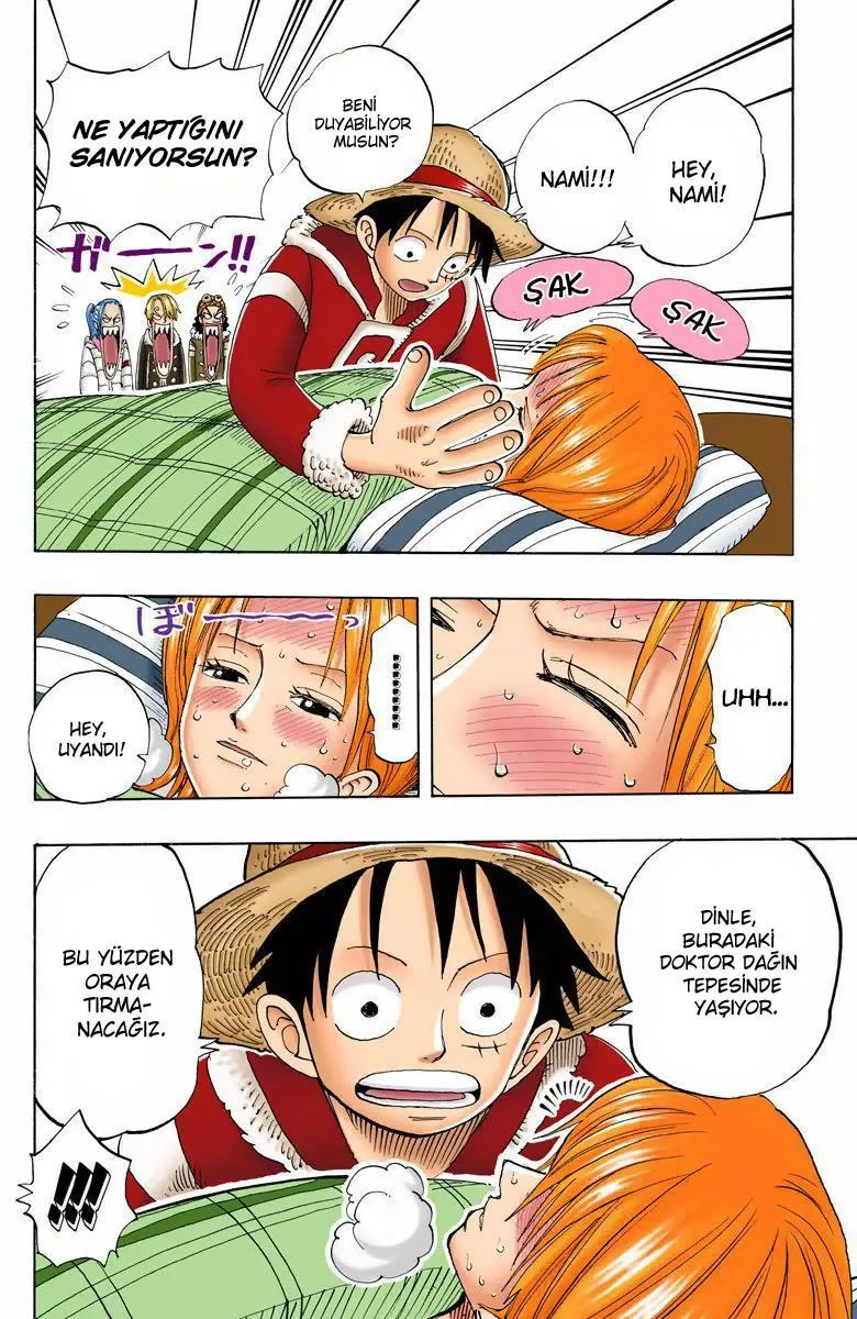 One Piece [Renkli] - Sayfa 13