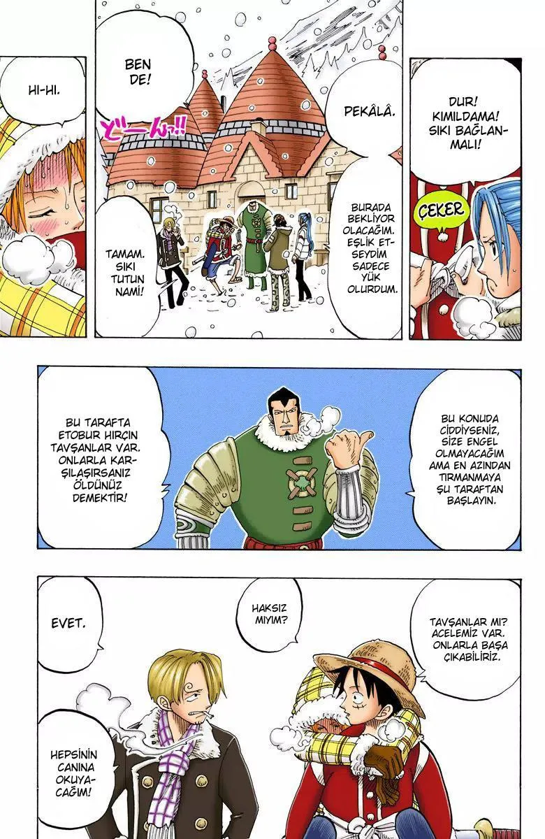 One Piece [Renkli] - Sayfa 16